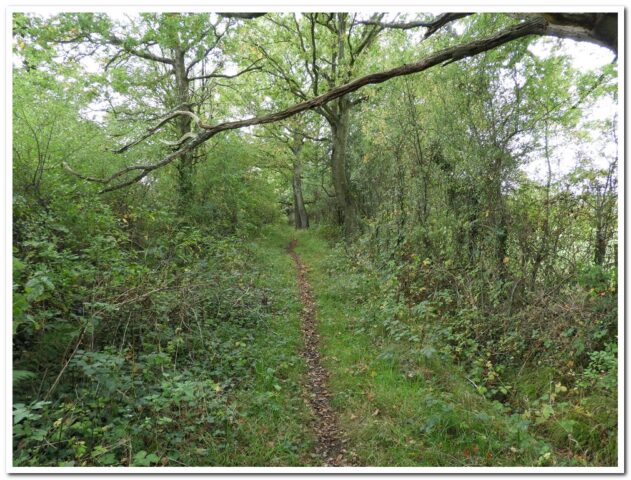 Cromhall footpath